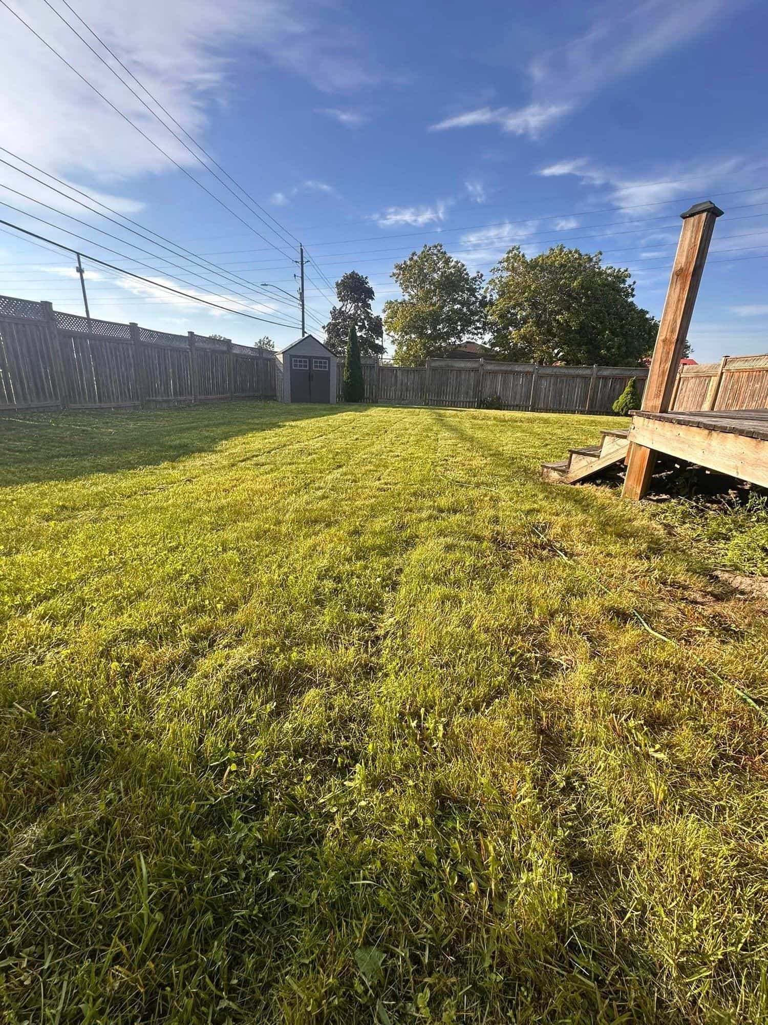 Freshly mowed lawn with professional mowing stripes by Premium Property Care in the Niagara Region